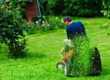 Kwikfynd Lawn Mowing
fingalheadnsw
