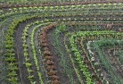 Fingal Head NSWorganic-gardening-10.jpg; ?>