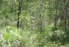 Fingal Head NSWorganic-gardening-5.jpg; ?>
