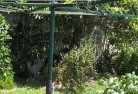 Fingal Head NSWvegetable-gardens-13.jpg; ?>