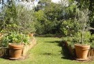 Fingal Head NSWvegetable-gardens-3.jpg; ?>